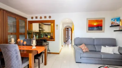 Apartment in Carrer dels Pins photo 4