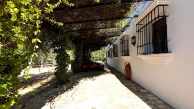 Rustic Finca on Calle Santuario Virgen de La Cabeza photo 21