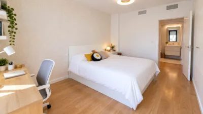 Apartment on Calle Torero Luis Fco. Espla "Esencia" photo 12