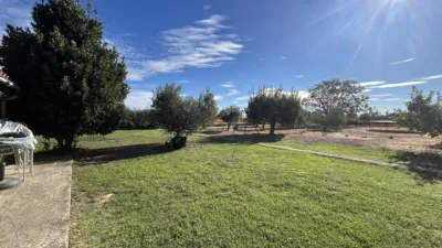 Rustic farm on Camino del Albar S-N photo 27