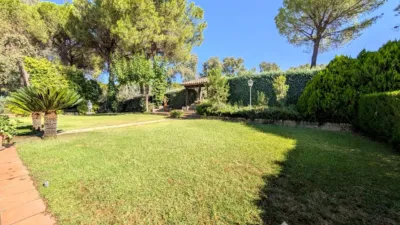 Rustic Finca on Calle Santuario Virgen de La Cabeza photo 16