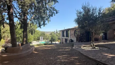Chalet in Castilla La Mancha photo 8