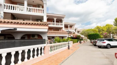 Apartment in Carrer dels Pins photo 31