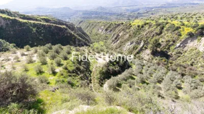 Finca rústica en calle Wcr3+9Fx Saleres, 18658, El Valle, Granada, Españ photo 12