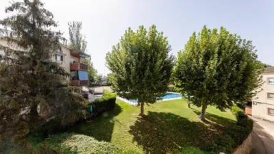 Apartment in Los Negrales photo 16