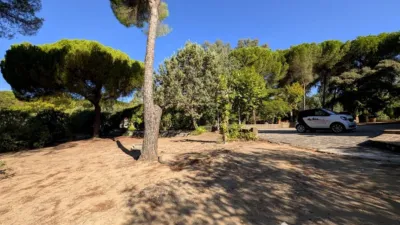 Rustic Finca on Calle Santuario Virgen de La Cabeza photo 19