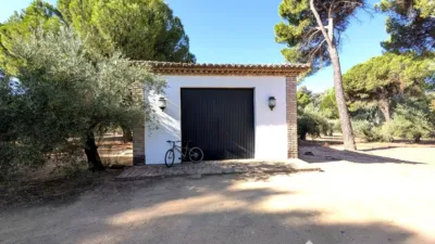 Rustic Finca on Calle Santuario Virgen de La Cabeza photo 34