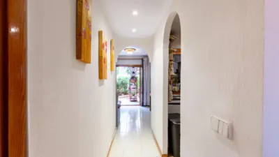 Apartment in Carrer dels Pins photo 20