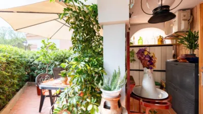 Apartment in Carrer dels Pins photo 25