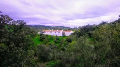 Rustic finca in Andalucia photo 2