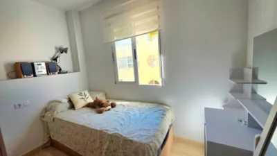 Apartment on Avenida Robleda photo 12