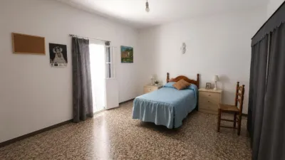 House in Bornos photo 8
