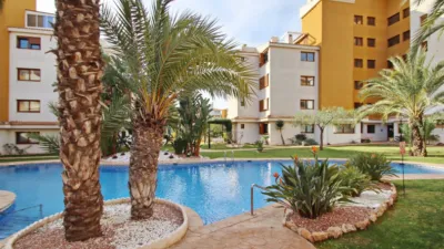 Apartment in Punta Prima photo 46
