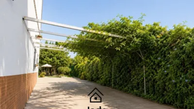 Chalet in Los Algarbes photo 25