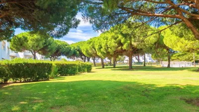 Apartment in Las Lomas de Sancti Petri photo 25