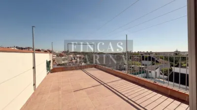 Chalet in Albarrosa photo 24
