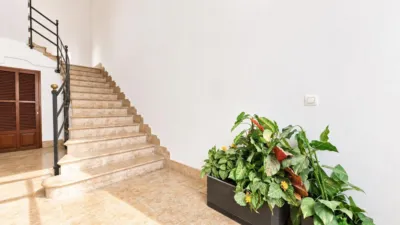 Attic in Bons Aires photo 31