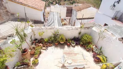  photo 28