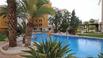 Apartment in Punta Prima photo 50