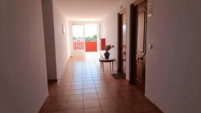 Apartment in El Alisar photo 3