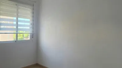 Apartment on Avenida Robleda photo 11