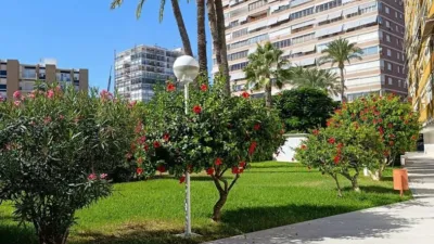 Apartment on Avenida de Niza, 22 photo 26