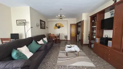 Apartment on Calle de la Vía Romana photo 3