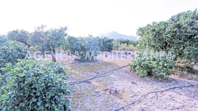 Chalet in the Valencian Community photo 16