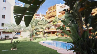 Apartment in Punta Prima photo 39