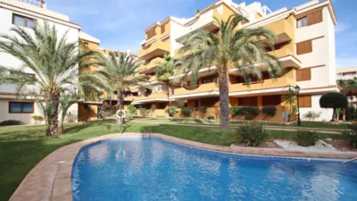 Apartment in Punta Prima photo 2