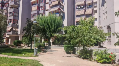 Apartment in San Blas photo 16