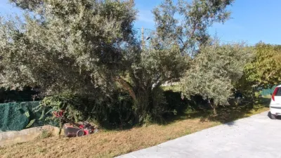 Chalet in Parroquias Rurales photo 48