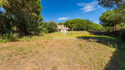 House in the Centre photo 47