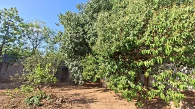 Chalet on Carrer de Genar Bartroli photo 56
