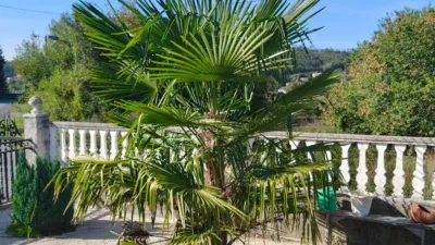 Chalet in Parroquias Rurales photo 51