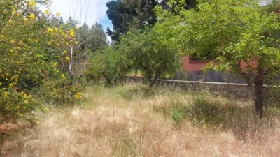 House on La Esperanza Street photo 47