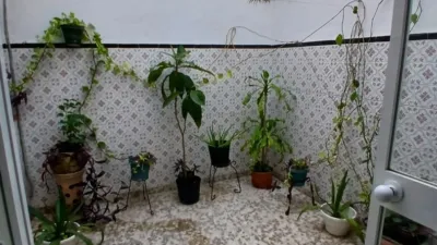 House on Santo Entierro Street photo 10
