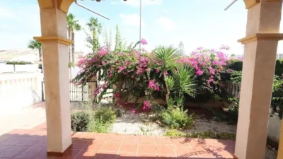 House in Playa Flamenca photo 20