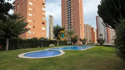 Apartment in Juzgados photo 13