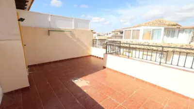 House in Playa Flamenca photo 17