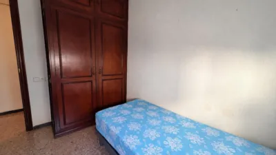 Apartment in Santa Rosa photo 7