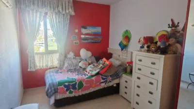 Apartment in San Blas photo 7