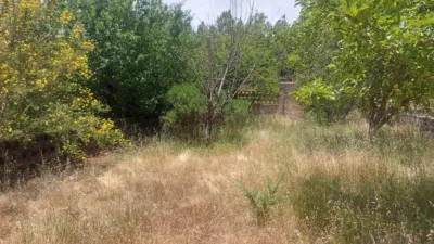 House on La Esperanza Street photo 44