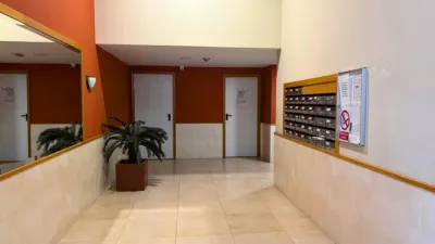 Apartment on Avenida Novo Mesoiro photo 17
