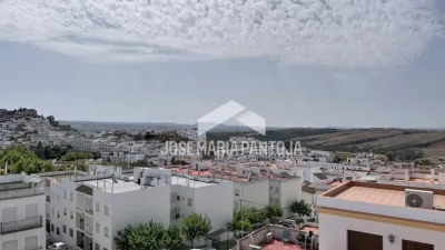 Apartment in Las Canteras photo 28