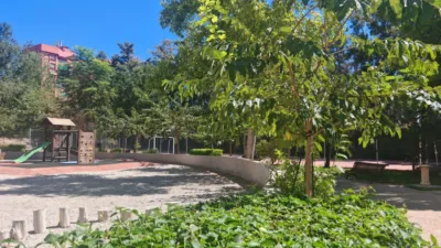 Apartment in San Blas photo 21