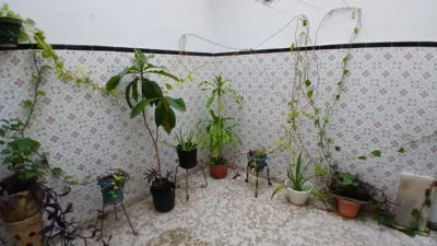 House on Santo Entierro Street photo 12