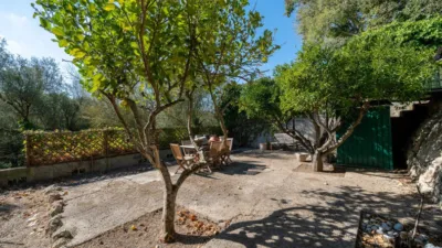 House on Carrer de Sineu photo 26