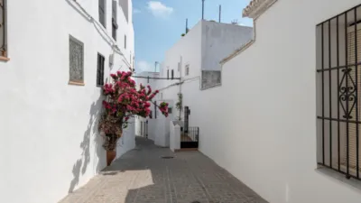 Apartment on Calle Palomina photo 45