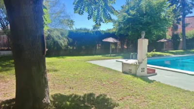Apartment in San Blas photo 18